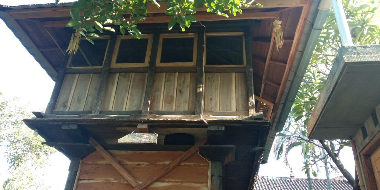 Esa Di Kubu Homestay Singaraja Zewnętrze zdjęcie