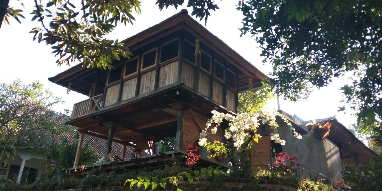 Esa Di Kubu Homestay Singaraja Zewnętrze zdjęcie