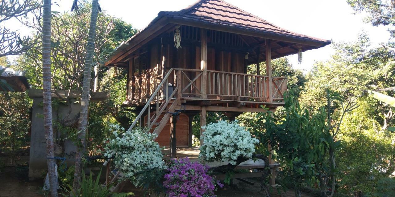 Esa Di Kubu Homestay Singaraja Zewnętrze zdjęcie